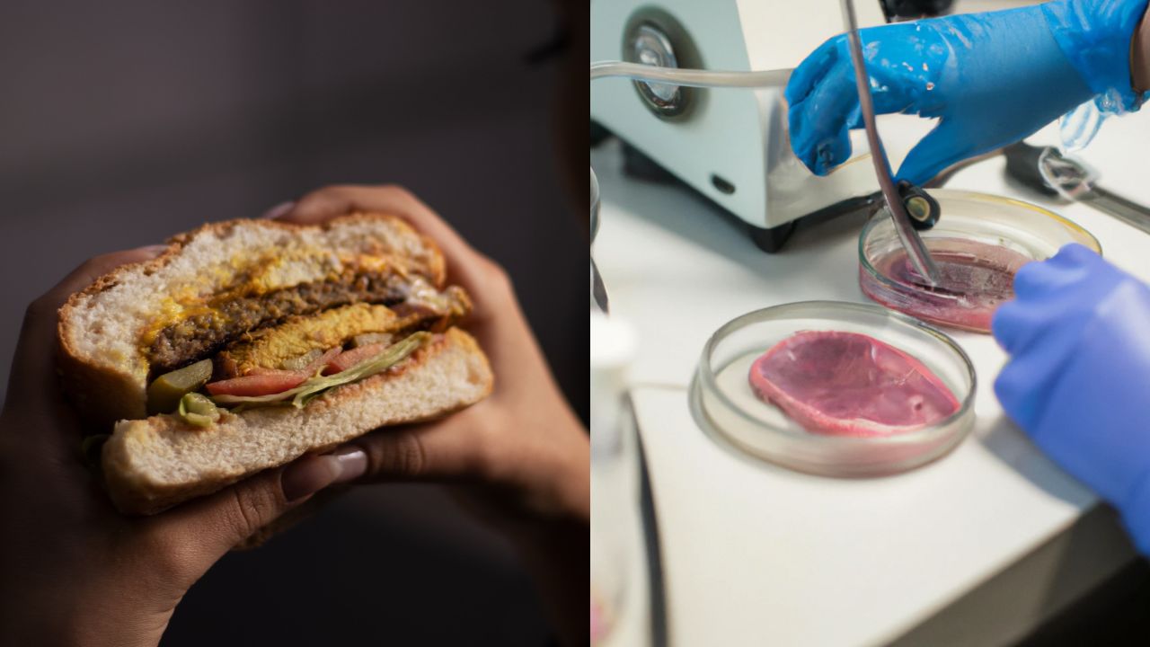 The future of cultured meat
